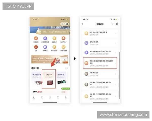 开云下载网址登录线路详细指南，轻松掌握最新登录方法
