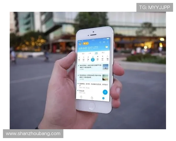 深度解析开云中国官网的购物流程与用户体验,让你轻松选购