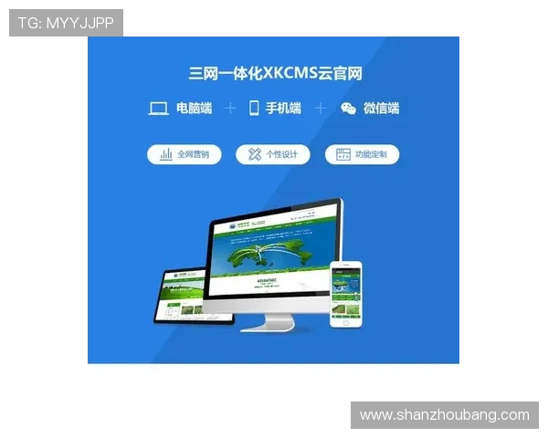 解锁开云网页登陆功能，助你体验更加丰富的在线服务