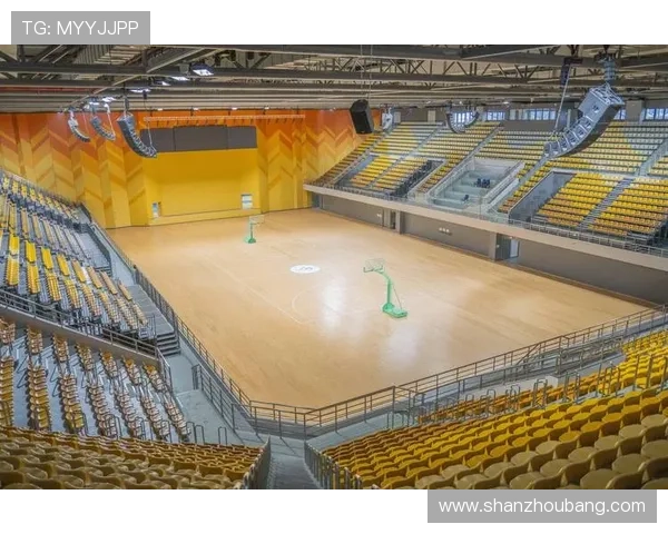 打造属于你的体育网站专属社区实现运动爱好者的交流与互动新体验